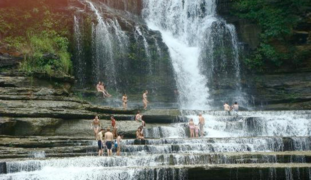 tripadvisor.com